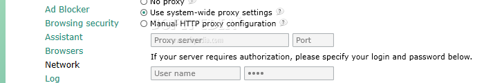 Showing the Adguard Web Filter network settings panel